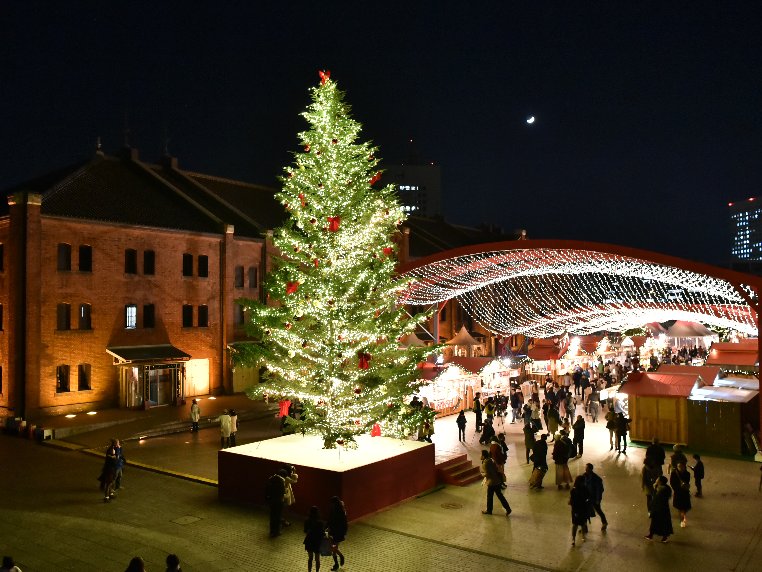 0円デート クリスマスは夜景 それとも花火 バリアフリー充実で最高にロマンチックに 障がい者 身体障害 発達障害 知的障害 のライフスタイルメディア Media116